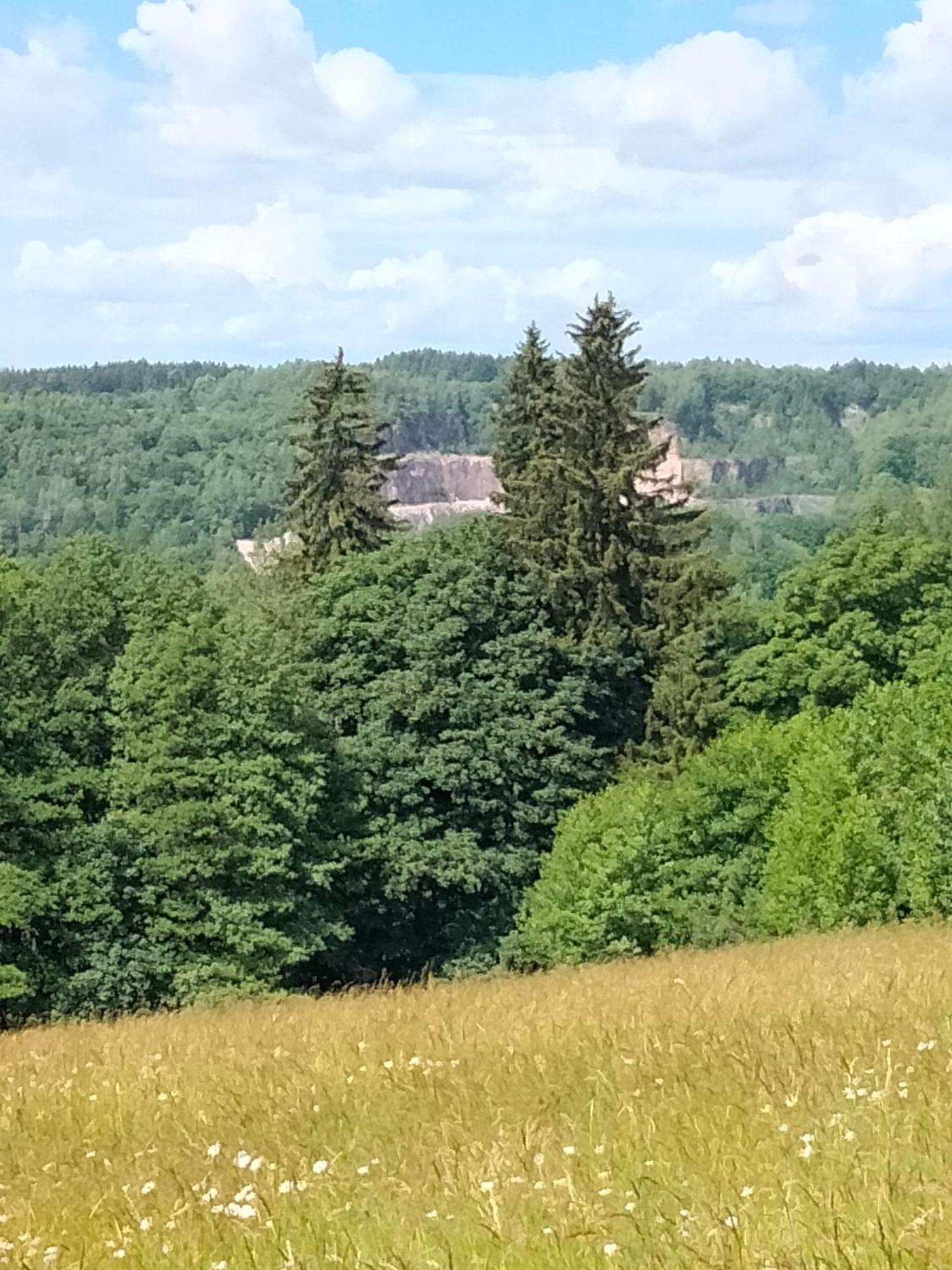 Lucni Apartman Tymiana Cerny Dul Bagian luar foto